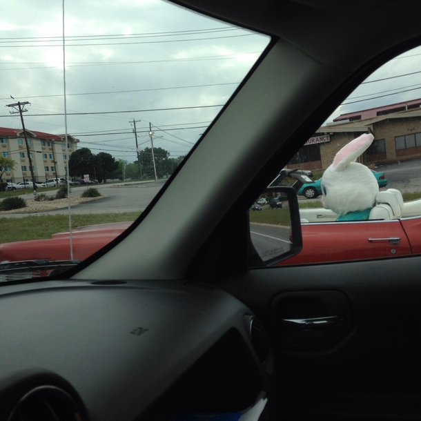 Just drove past this on the highway
