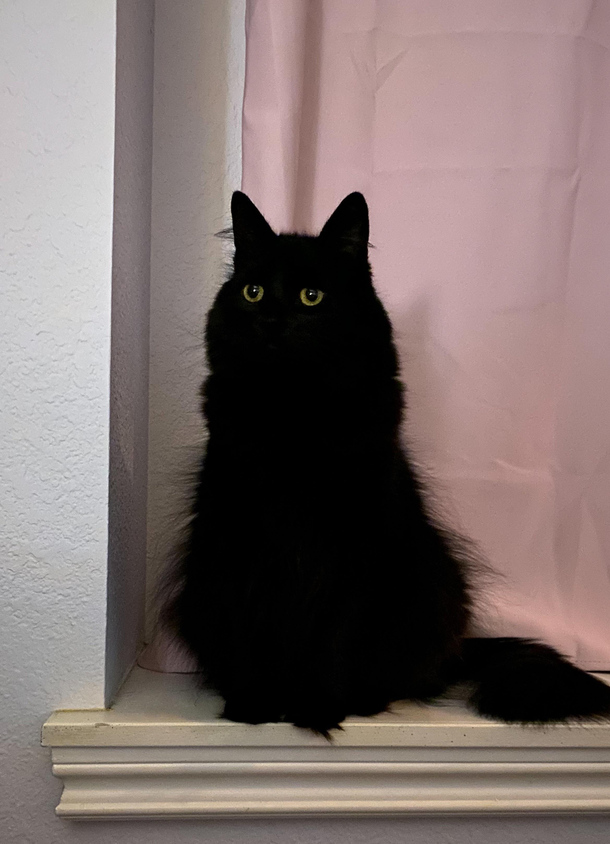 Just eyes