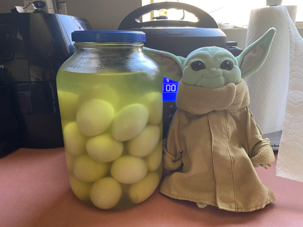 Just finished pickling eggs and guess who showed up