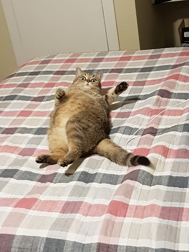 Just finnished charging cat forgot how to turn cat on