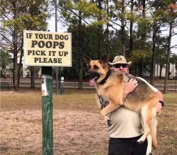 Just following the rules