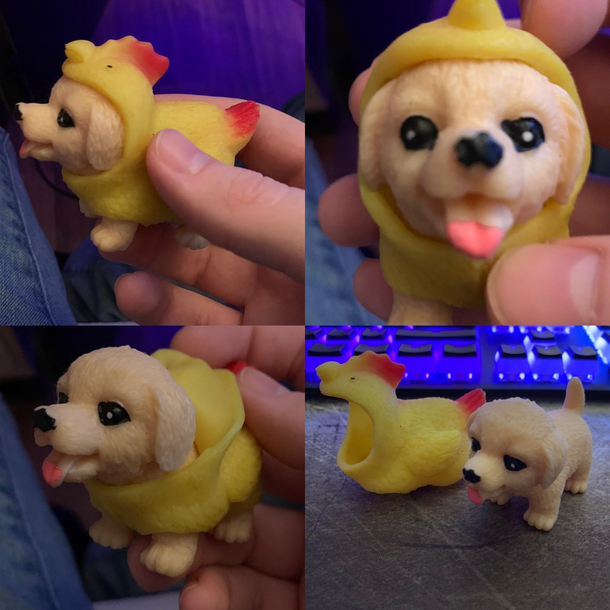 Just found this little rubber dog toy with a fully removable chicken