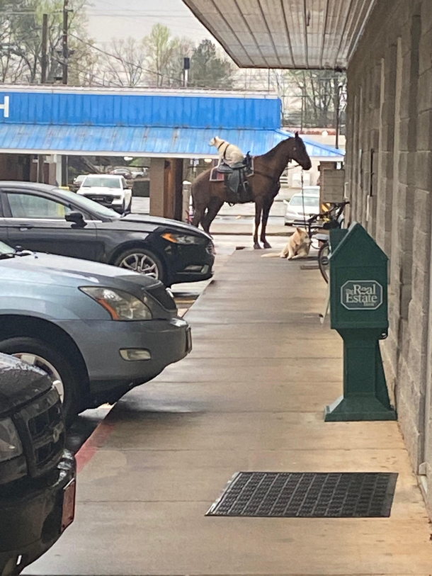 Just going to the laundromat