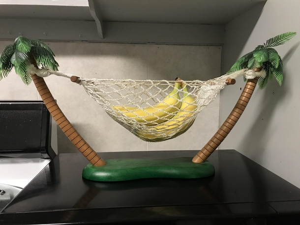 Just got a new banana hammock bananas for scale Think The Todd would  approve - Meme Guy