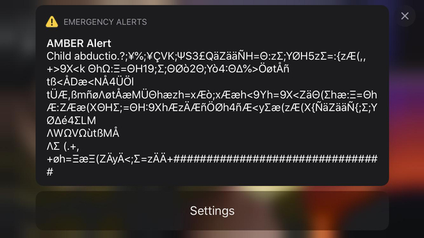 Just got an amber alert for Elon Musks newest kid