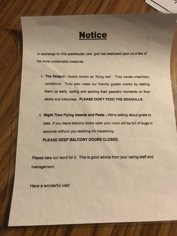 Just got into our hotel room Found this gem of a notice - Meme Guy