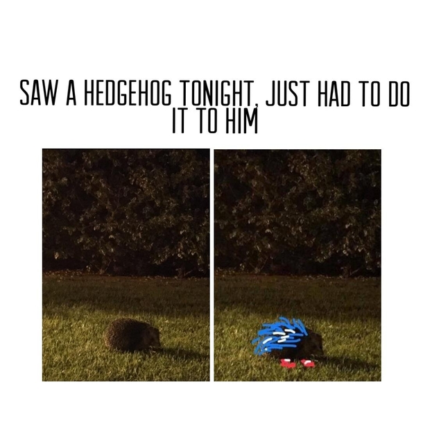 Just had to