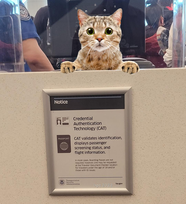 Just hand your passport to the cat he will take it from there