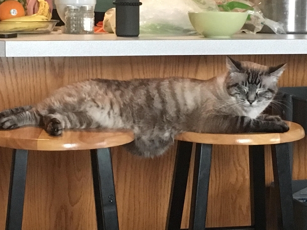 Just hangin out