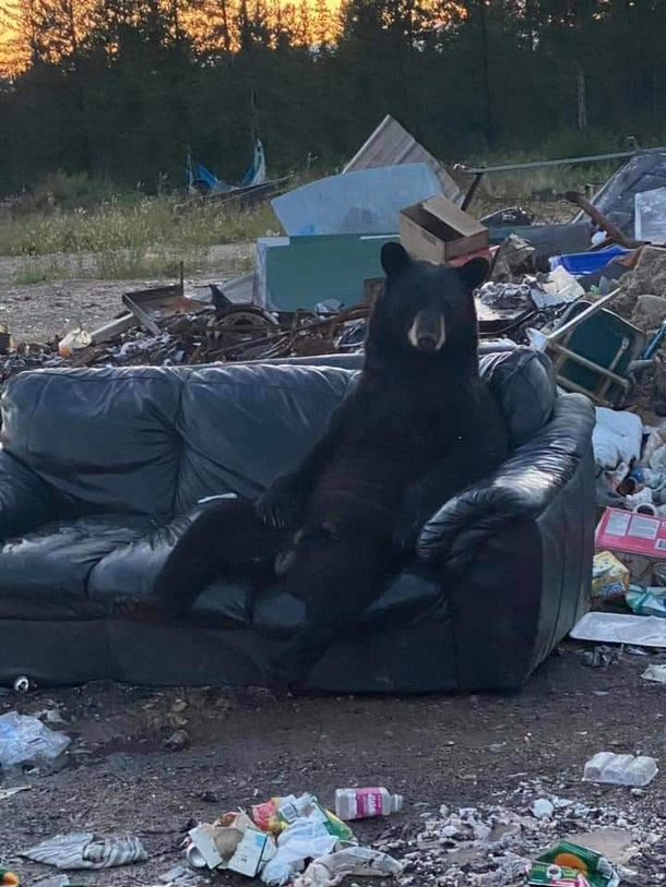 Just hangin out