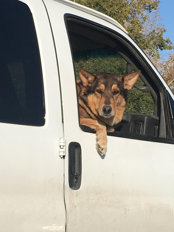 Just hanging out on the passenger side of his best friends ride tryin to holla at me