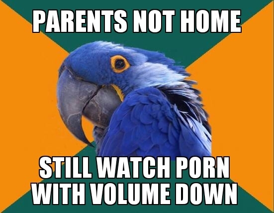 Just in case they come back