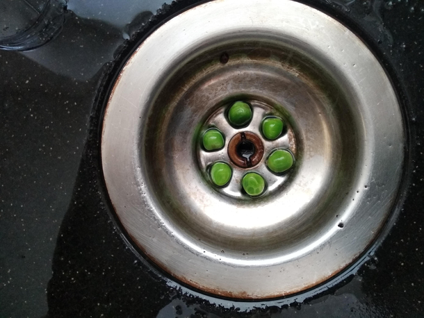 Just installed new bearings on my sink