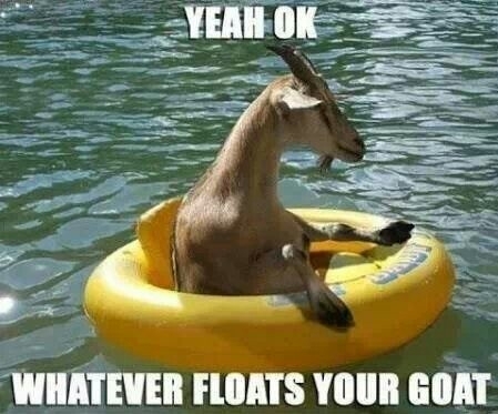Just kidding around