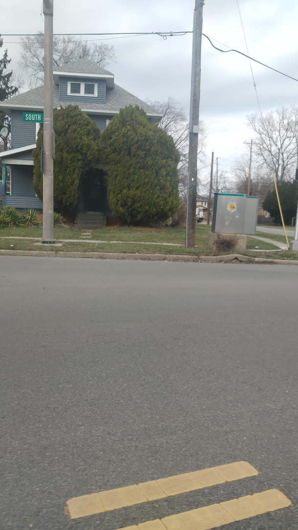 Just leave the pizza behind the hedge