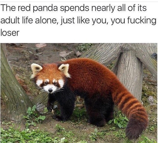 Just like you