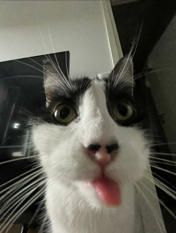 Just look at it
