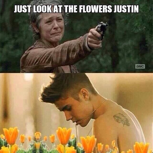 Just look at the flowers