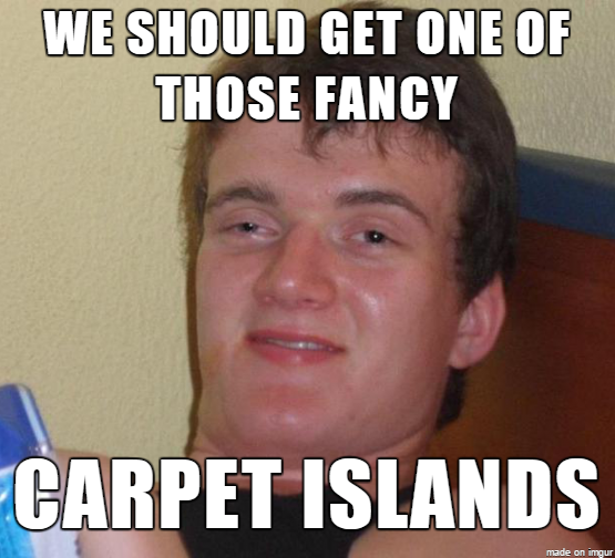 Just moved into a new place and my roommate tried to suggest we get a rug