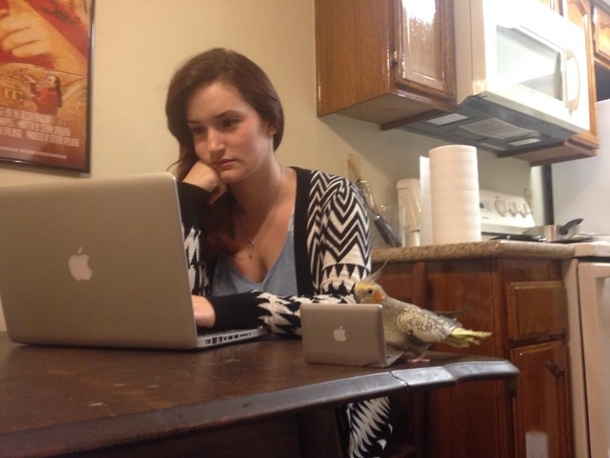 Just my bird and I getting some work done at home