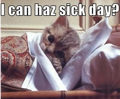 Just one of those mornings