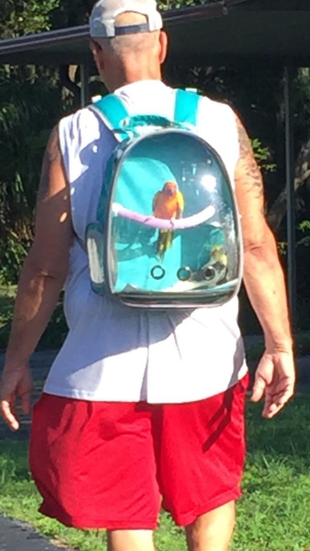 Just out birdie backpacking