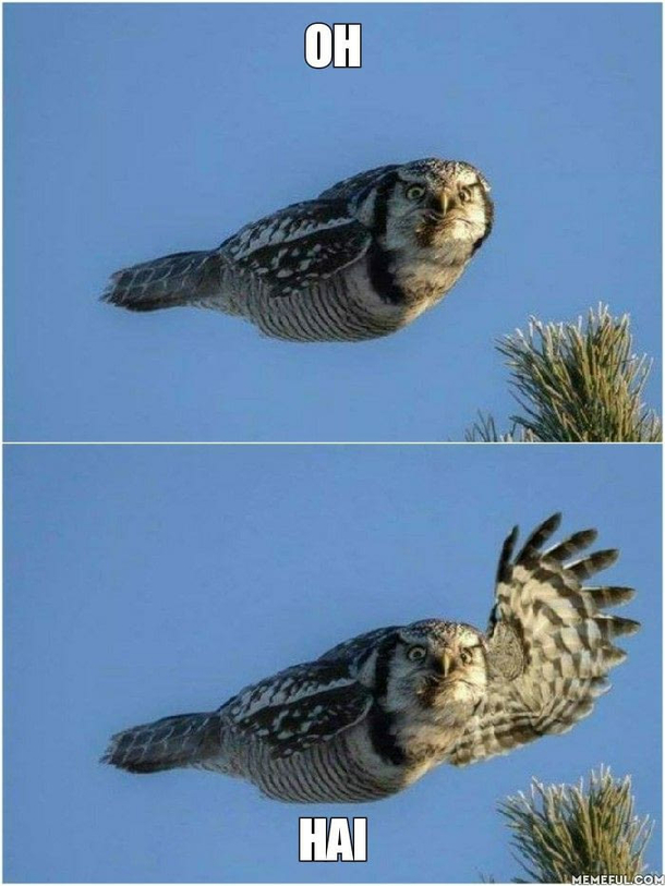 Just passing by