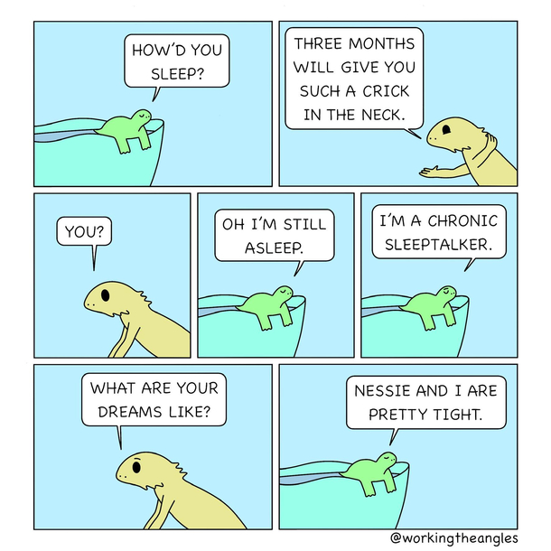 Just Reptile Problems OC