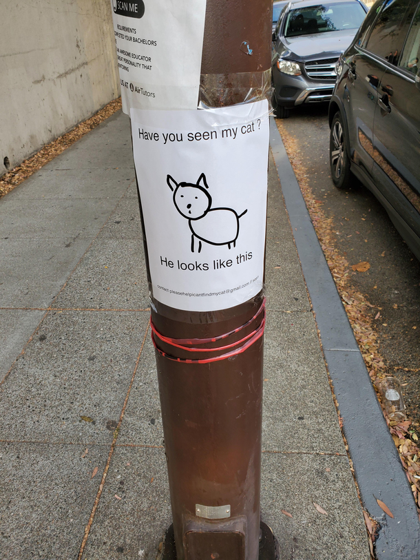 Just saw this while walking down the street
