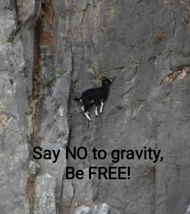 Just say no to gravity a petition to delete the gravity