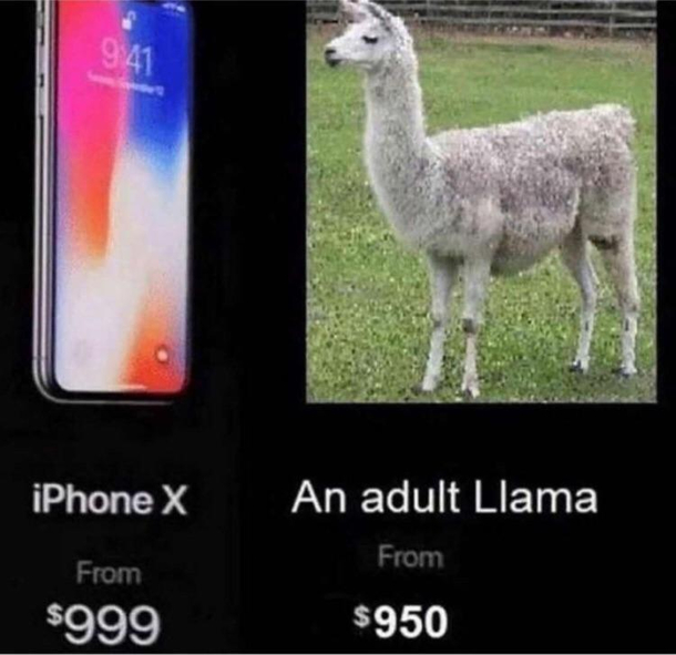 Just saying