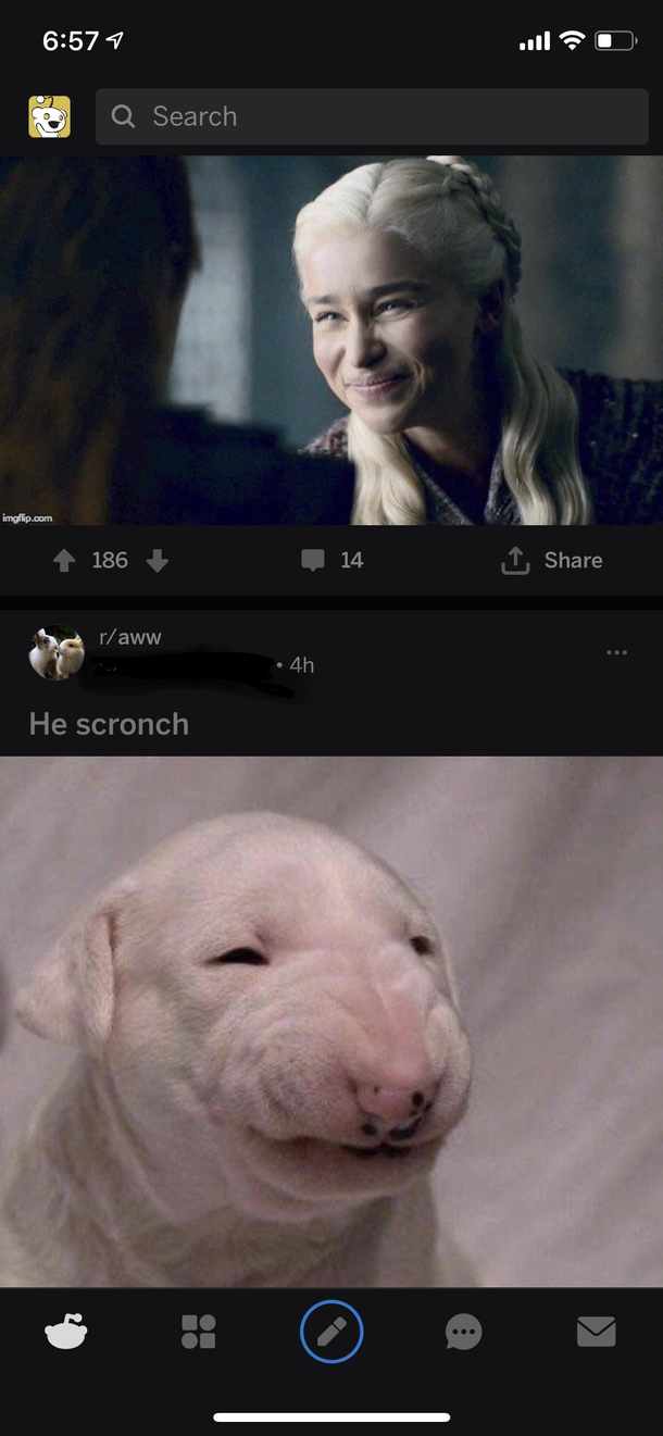 Just scrollin through reddit