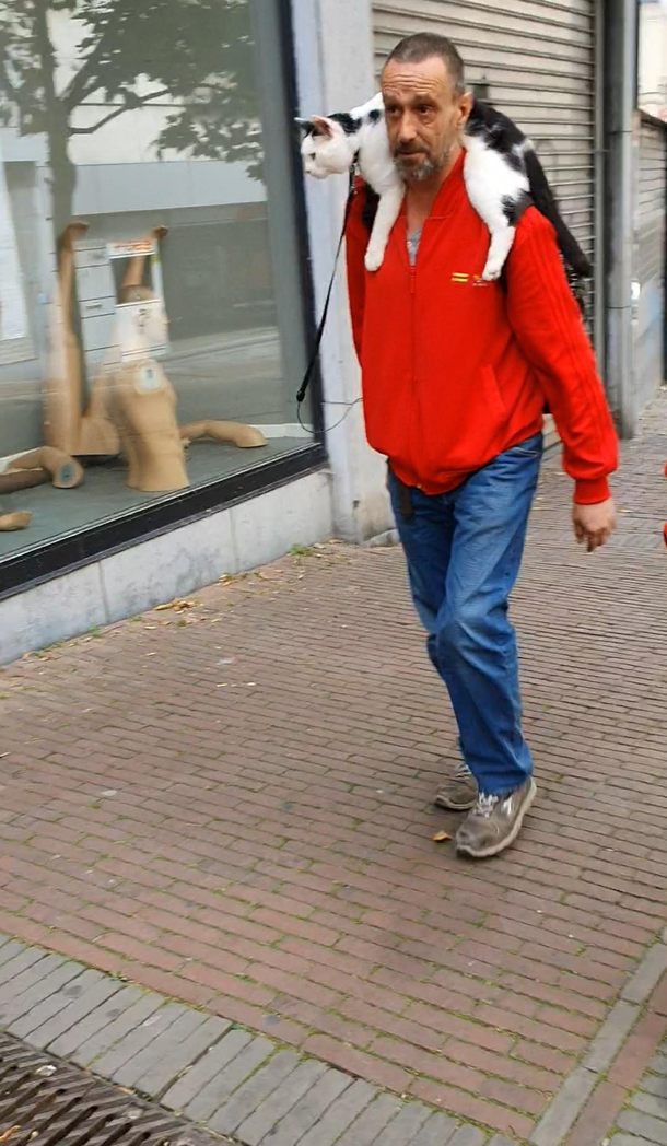 Just spotted this in my hometown cant believe people are still wearing fur in 