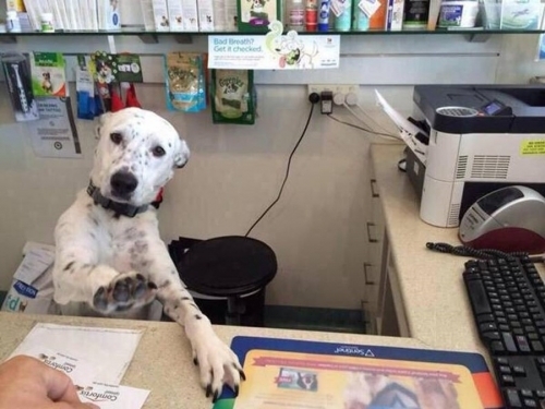 Just stop I said no discounts
