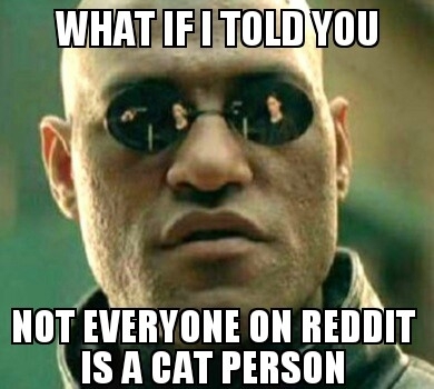 Just stop with the whole Im prepared for the downvotes but Im not a cat person