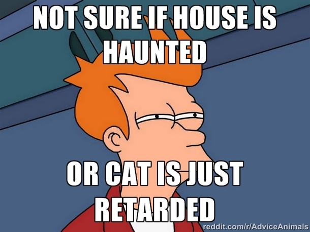 Just tell me cat