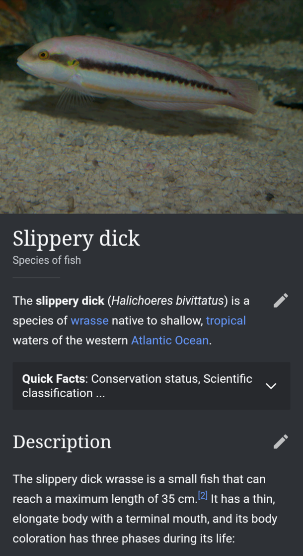 Just thought Id post this here No particular reason