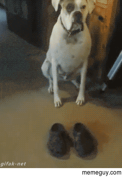 Just try them on to make sure they fit