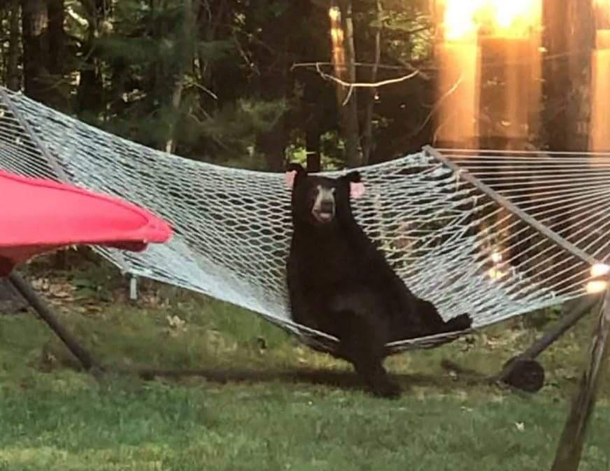 Just waiting for the garbage to be taken out