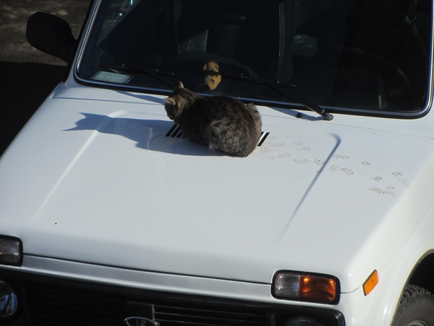 Just washed the car