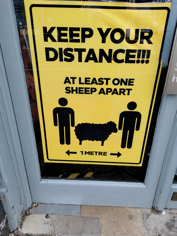 Just what kind of establishment are you running here