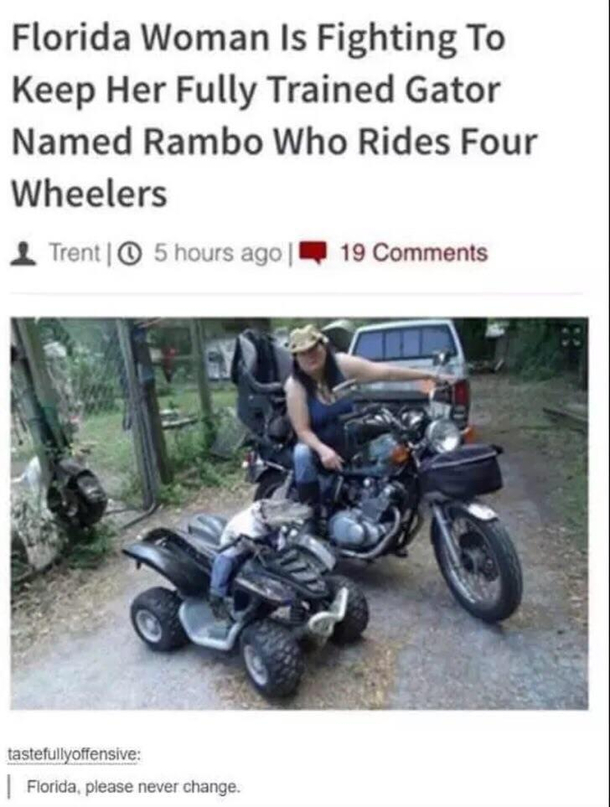 Justice for Rambo