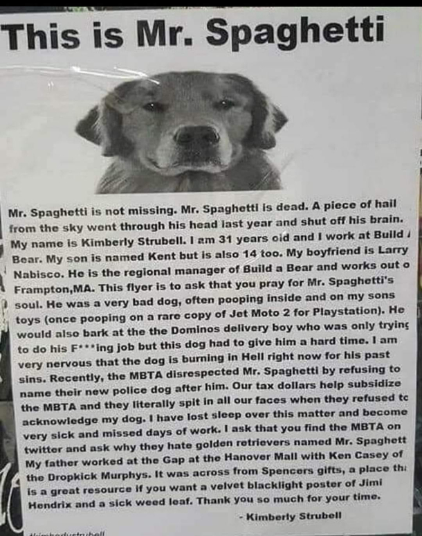 justice for spaghetti