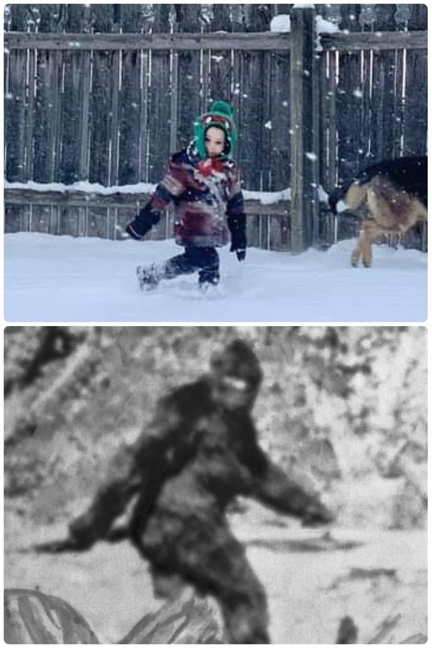 Juvenile spotted in the wild alongside its hunting companion