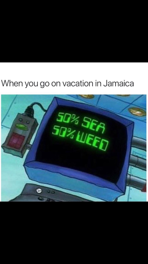 Karen was a jamaican stoner