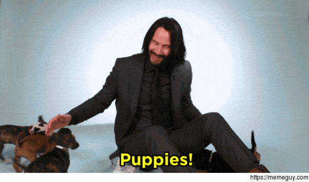 Keanu and some puppers