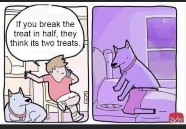 Keep quiet while around your dogs if you do this