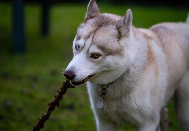Keep scrolling buddy this is my stick