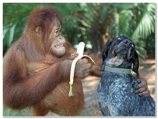 Keep your banana