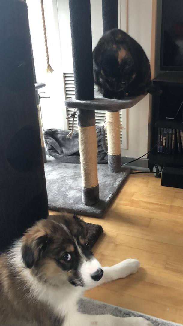 Keep your friends close but your enemies closer